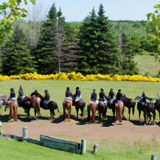 Horse Training Nova Scotia