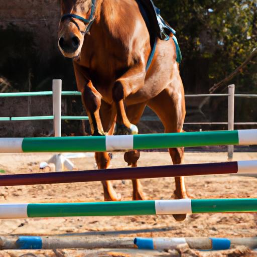 Horse Training Obstacles