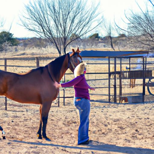 Horse Training Oklahoma