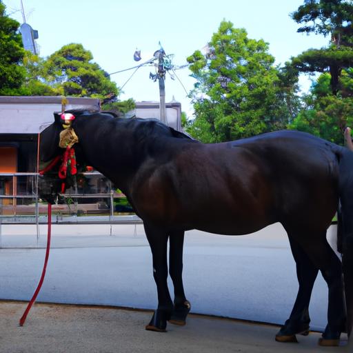 Horses Japan History