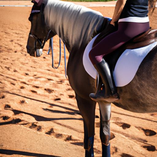 Discover the significance of horse riding gear in ensuring a safe and enjoyable ride in Port Elizabeth.