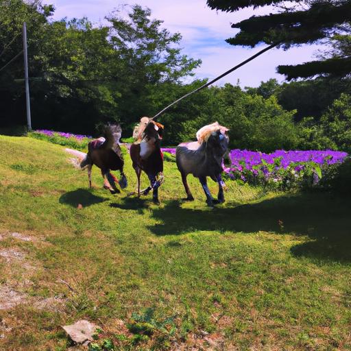 Discover how horse training plays a vital role in nurturing the abilities and potential of these magnificent creatures in Nova Scotia