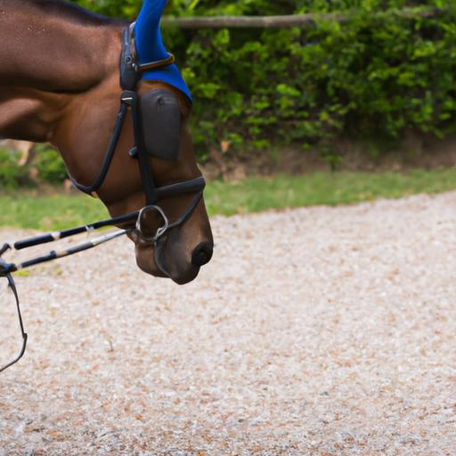 Equipping your horse with the right gear, such as cow print horse sport boots, is crucial for their safety and performance.
