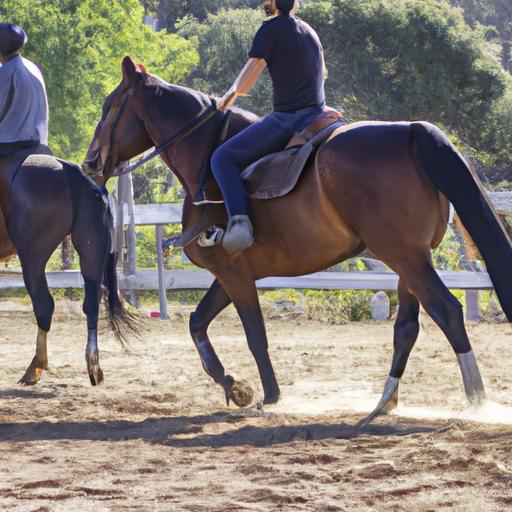 Experience the dedication and expertise of riders at Sport Horses Unlimited as they strive for excellence.