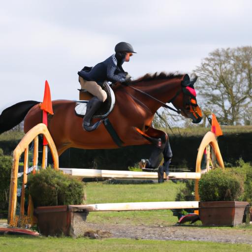 Witness the agility and precision of this Irish sport horse and its skilled rider.