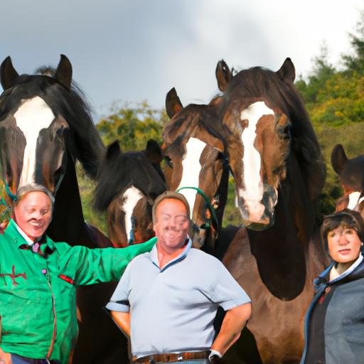 Irish Sport Horse Züchter Irland