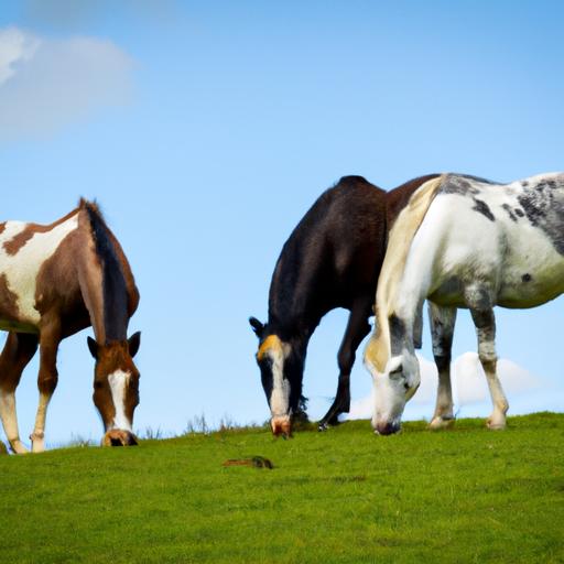 These Irish sport horses enjoy their time grazing amidst the idyllic beauty of the UK countryside.