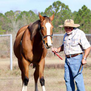 Jerry Dutton Horse Trainer