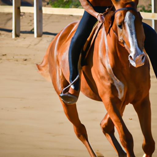 Delving into the essential aspects and techniques of 31 performance horse training.