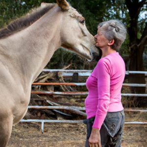 Kindred Spirit Whole Horse Care