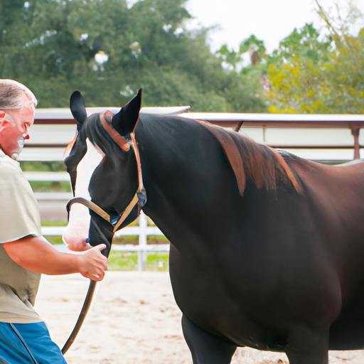 Larry Trocha Horse Training