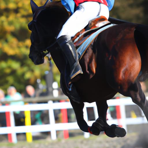 Immerse yourself in the excitement of live horse sports events through Horse Sports Network's high-quality streaming.