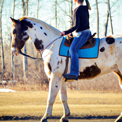 A horse and rider duo in Manitoba showcasing their strong bond developed through proper training.