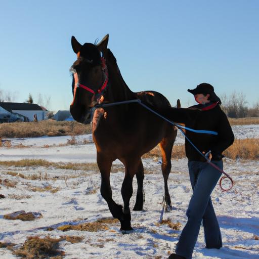 A horse and trainer in Manitoba demonstrating effective horse training techniques.
