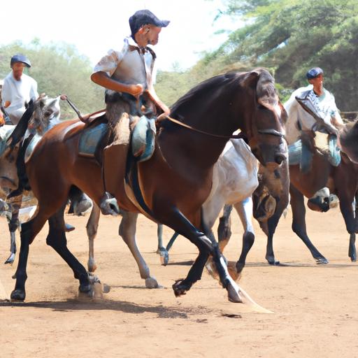 Capture the breathtaking moments of triumph and camaraderie at Boneo Horse Competition