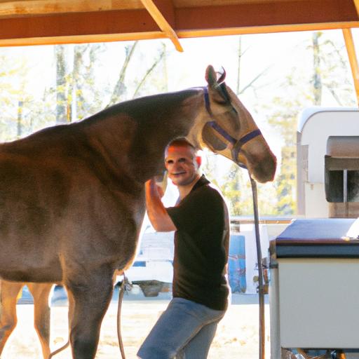 Mobile Horse Grooming Service
