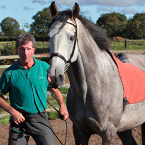 Neil Davies Horse Training