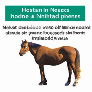 Nhs Discount Horse Health