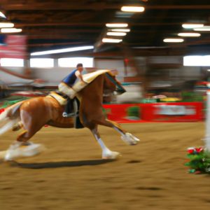 Nys Fair Horse Competition
