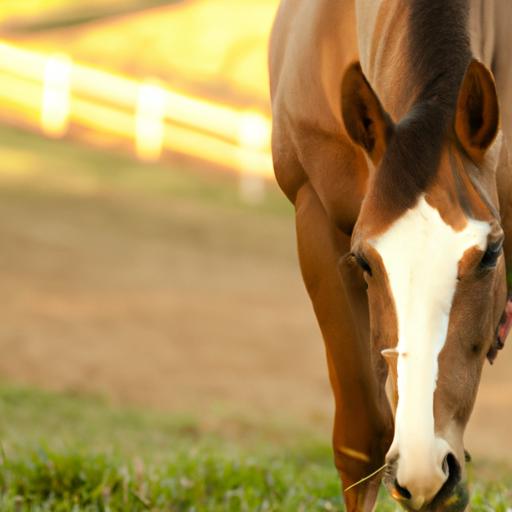 Obtaining horse health vouchers is a simple process that can be done through various channels.