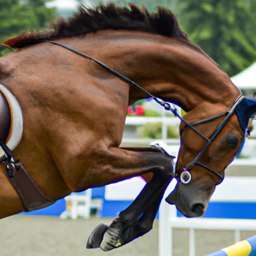 Olympic Jumping Horse Breeds
