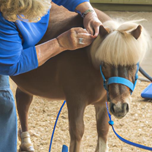Building trust and connection through grooming in mini horse therapy training