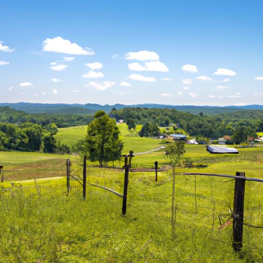 A breathtaking view of the rolling hills and lush green pastures at 4232 Sport Horse Place.
