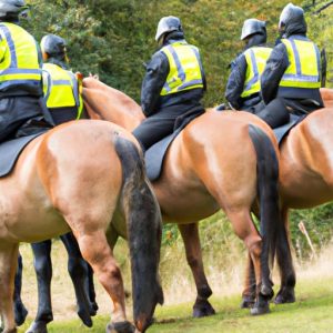 Police Horse Training Uk