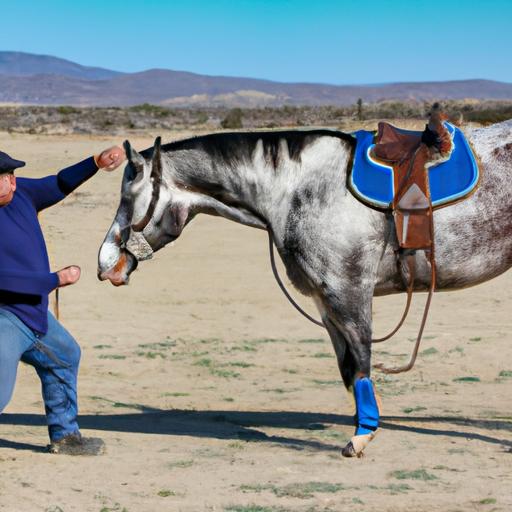 Trainer employing positive reinforcement techniques to teach a horse in Yucca Valley.