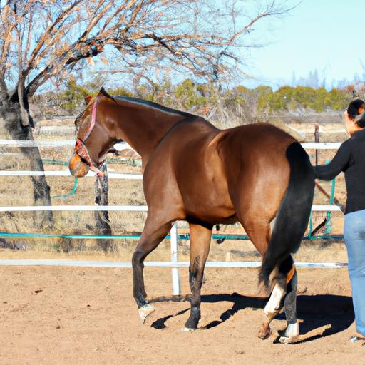 Expert trainer showcasing effective methods for quarter horse training.