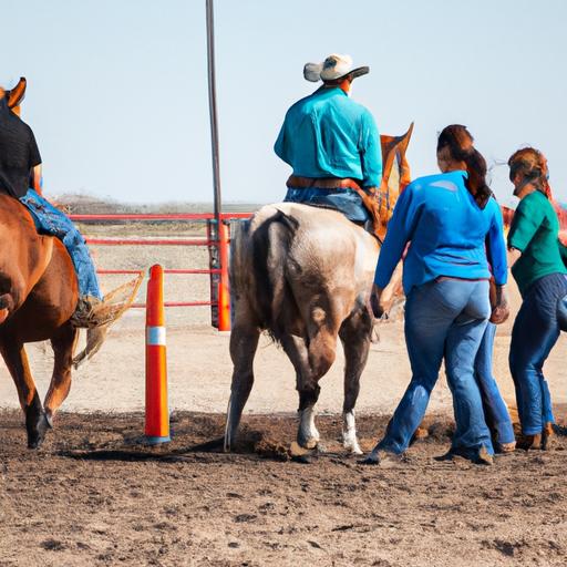 Quarter Horse Training Amarillo Texas