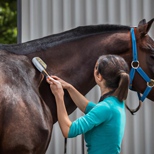 Quartering A Horse Grooming