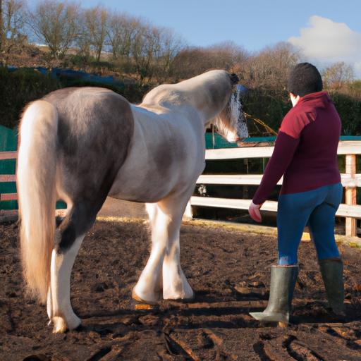 A Ribbleton trainer using positive reinforcement to teach a horse new commands.