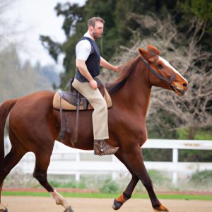 Ross Cohen Horse Trainer