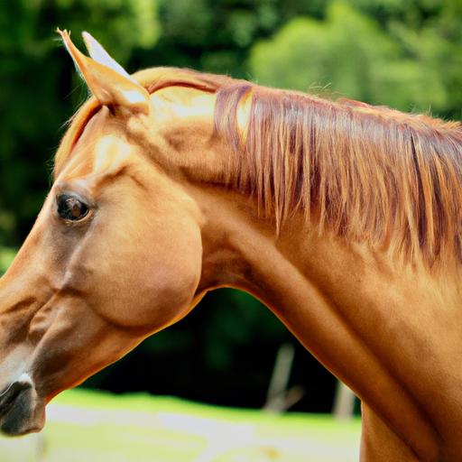 Uncover the secrets behind selecting the perfect horse breed for your needs.