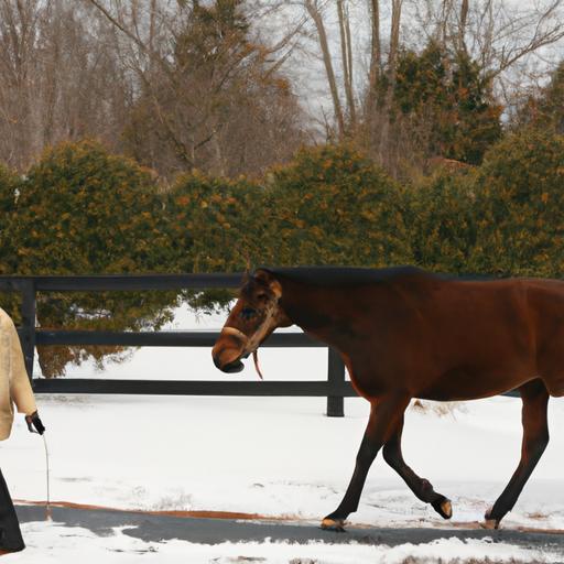 Keeping senior horses active and healthy during winter