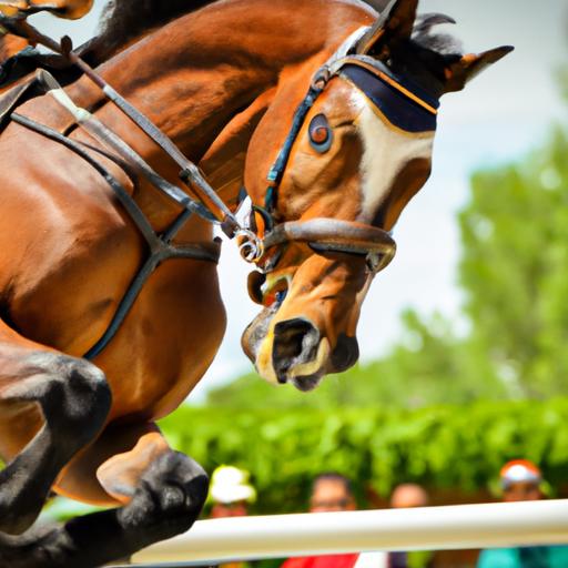 Experience the thrill of horse sport events through captivating images