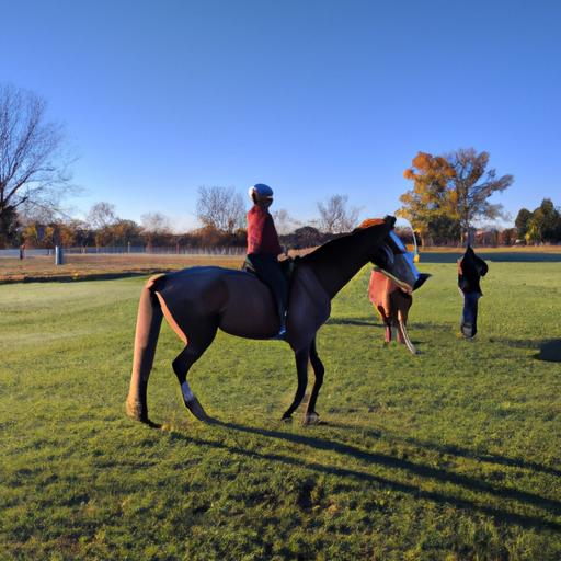 A rider bonding with their horse through proper training in Kalamazoo
