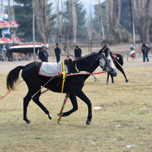 Professional horse training in J&K ensures optimal results for horses and riders