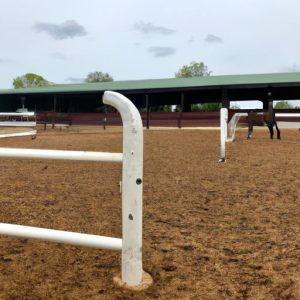 Size Of Round Pen For Horse Training