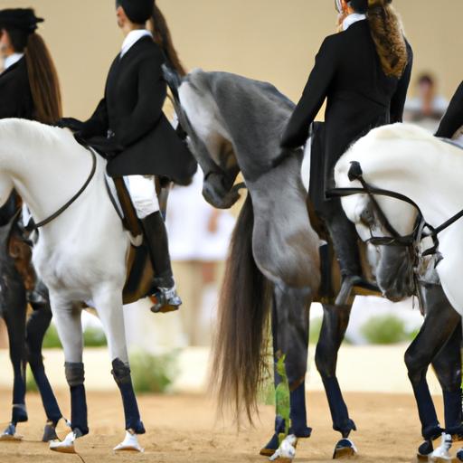 Experience the artistry and precision of dressage performances at the Arabian Sport Horse Nationals.