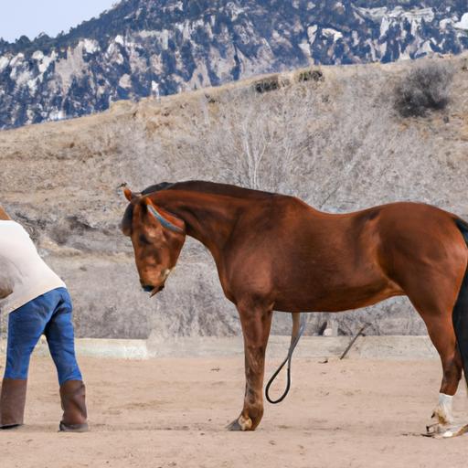 Experience the art of horse training with expert trainers in Utah