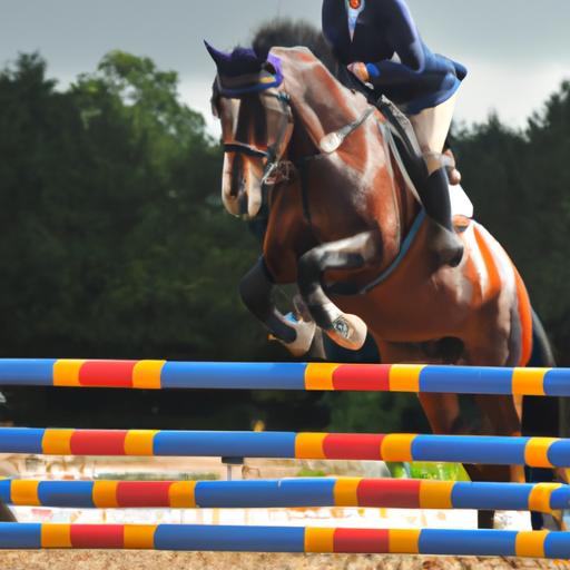 The partnership between a rider and their sport horse showcased through their success in show jumping.