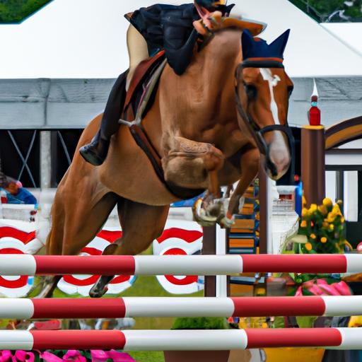 Sport Horse Nationals 2021 Results