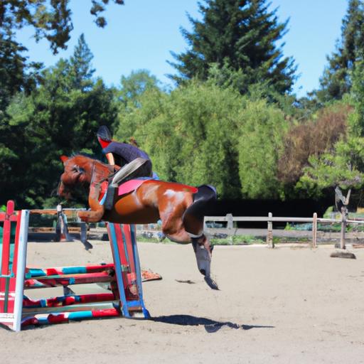 Soaring over obstacles with grace on sunny training days.