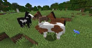 Horse Breeds in Minecraft