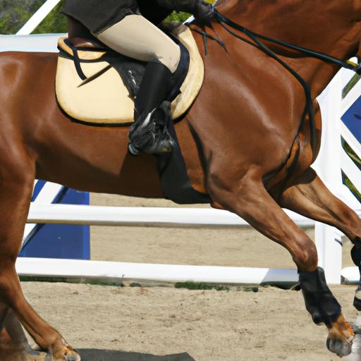 Dedicated training and practice leading to mastery in equestrian disciplines.
