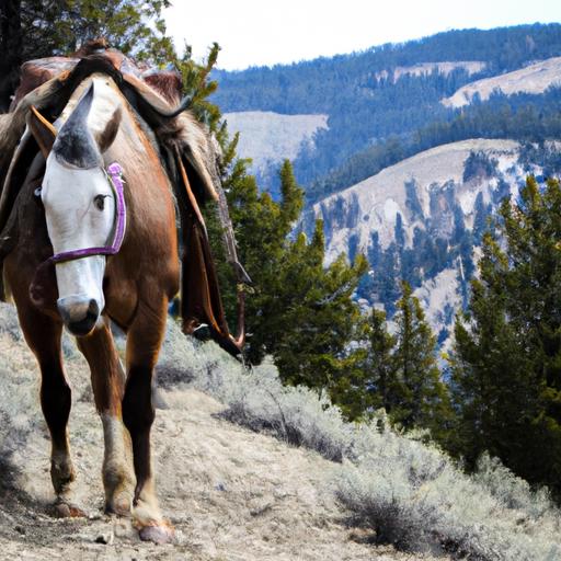 Experience the tranquility of nature as a Tennessee Walking Horse guides you through Yellowstone.