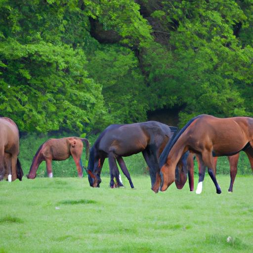 Proper nutrition is crucial for the well-being of thoroughbred horses.