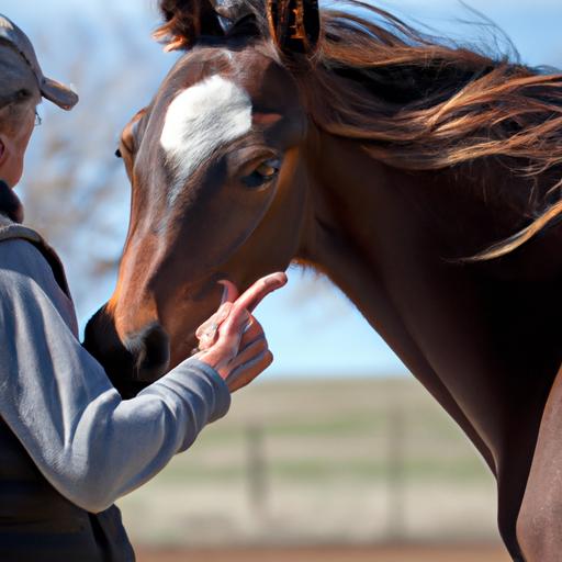 A top horse trainer building trust and connection with a young horse, laying the groundwork for successful training.